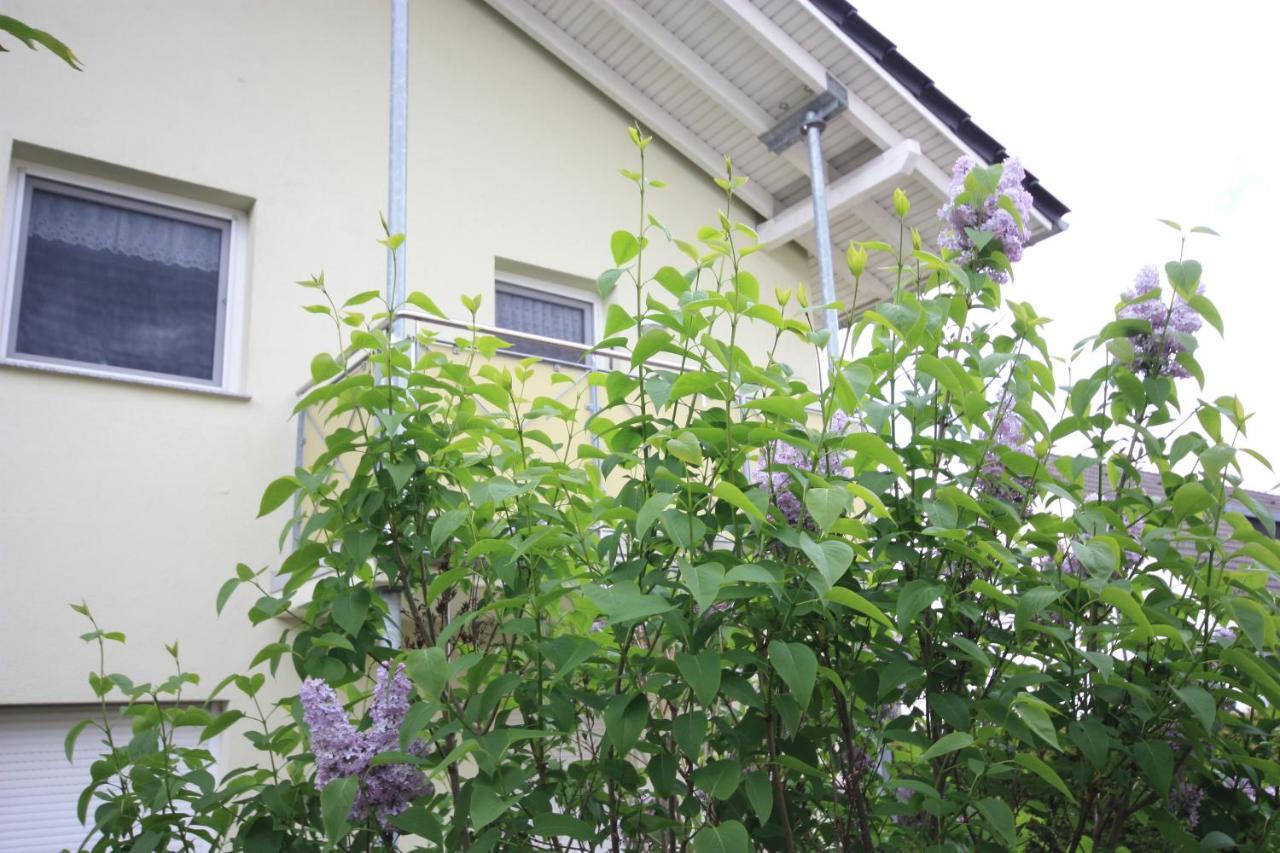 Windjammer Koserow Exterior foto