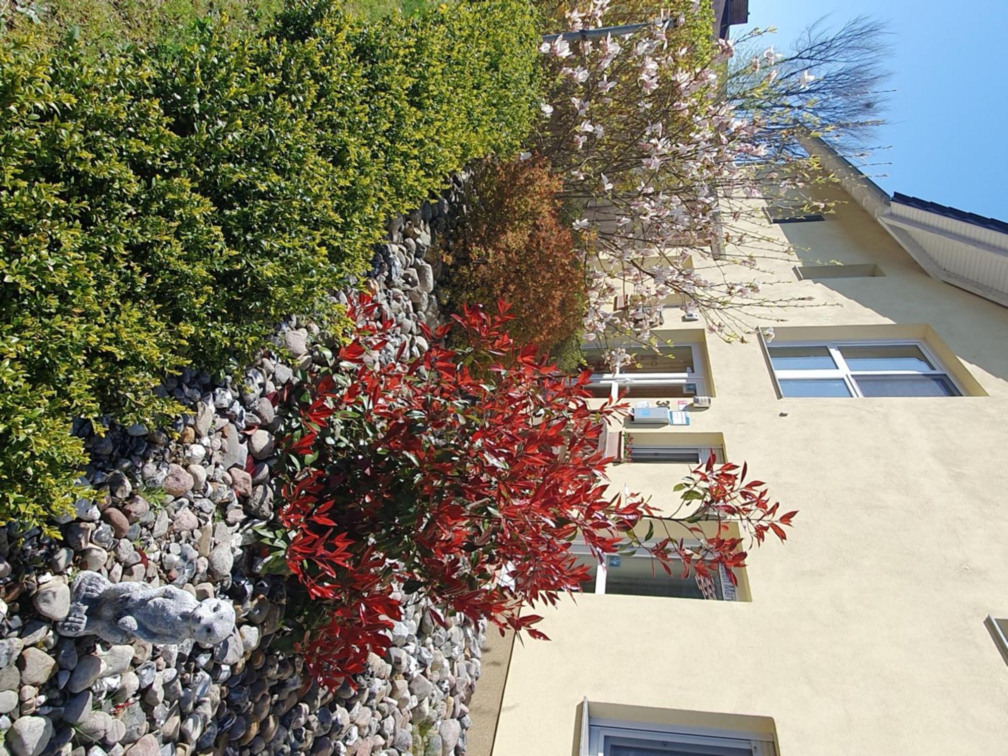 Windjammer Koserow Exterior foto